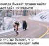 Судебная медицина - Прикрепленное изображение