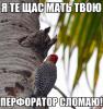 Судебная медицина - Прикрепленное изображение