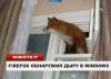 Судебная медицина - Прикрепленное изображение
