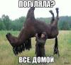 Судебная медицина - Прикрепленное изображение