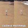 Судебная медицина - Прикрепленное изображение